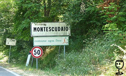 Montescudaio